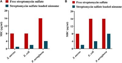 Streptomycin Sulfate–Loaded Niosomes Enables Increased Antimicrobial and Anti-Biofilm Activities